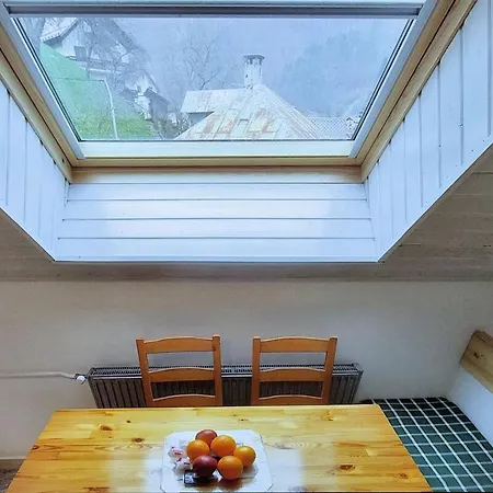 Apartment Erika Idrija