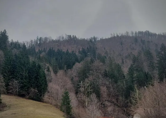 公寓 Erika 伊德里亚