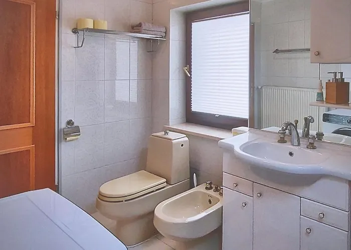 公寓 Erika 伊德里亚