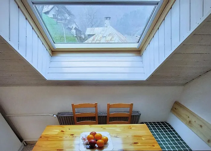 Apartment Erika Idrija