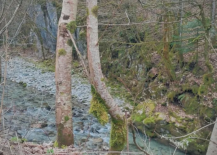 公寓 Erika 伊德里亚